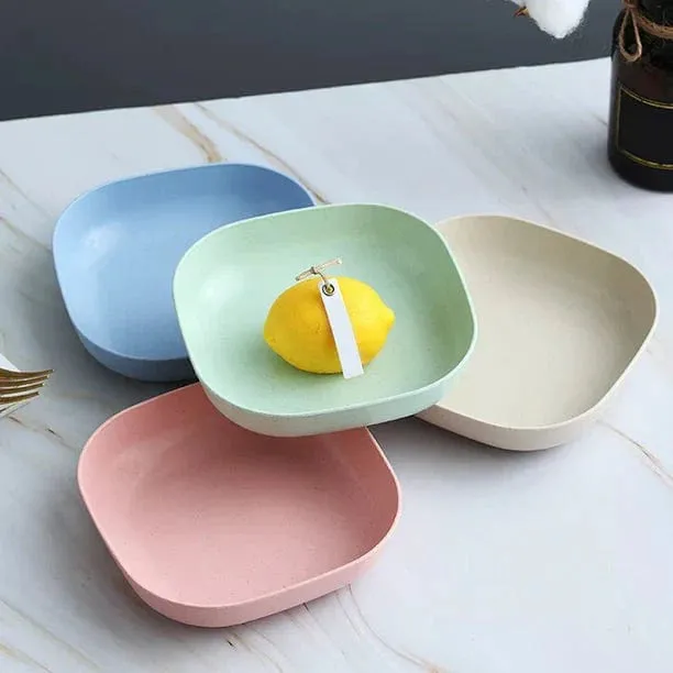 10pcs Plates Set With Holder ( Random Colours )