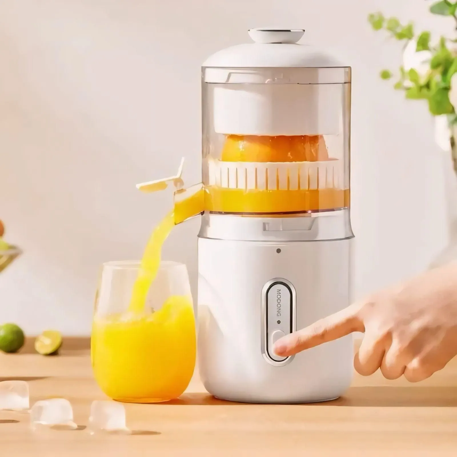 Compact Portable Fruit Juicer - Fresh Juice Anytime