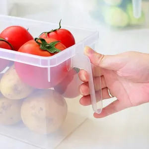 Refrigerator Handle Frozen Food Storage Box