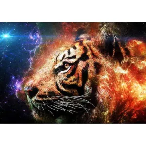 Tiger Space Galaxy Light Out Space